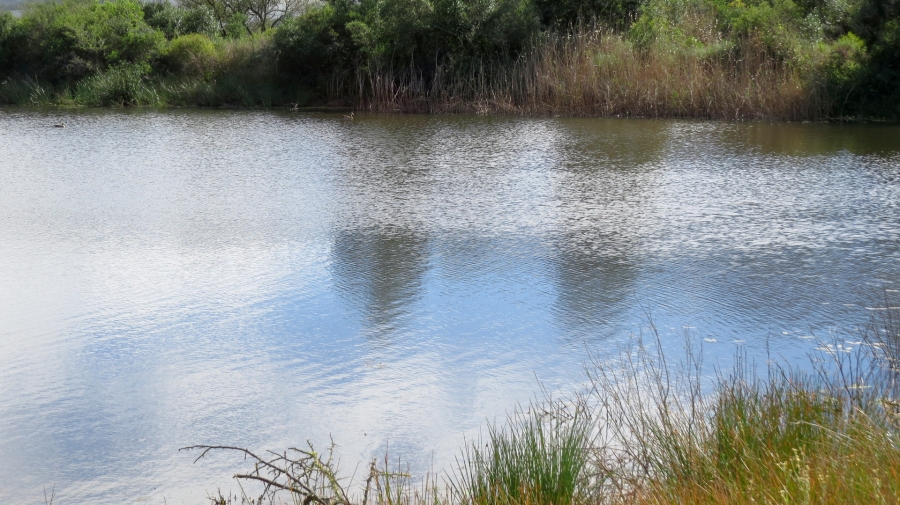 Commercial Property for Sale in Swellendam Rural Western Cape